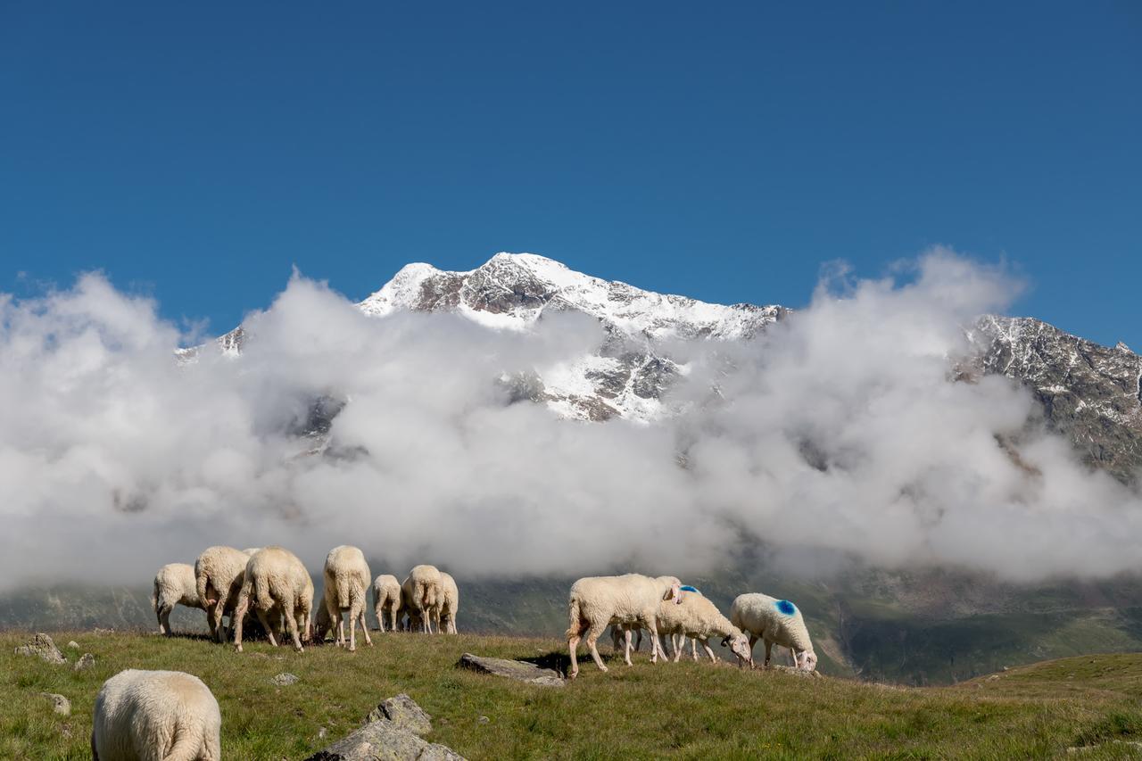 Natur-&Alpinhotel Post Vent Eksteriør billede